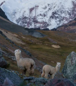 Mountain pass along the four-day Ausangate trekking route